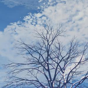 女友的石女闺蜜石瑶小说免费阅读
