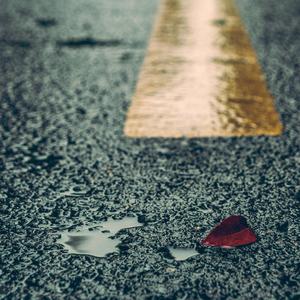 女友的石女闺蜜石瑶小说免费阅读
